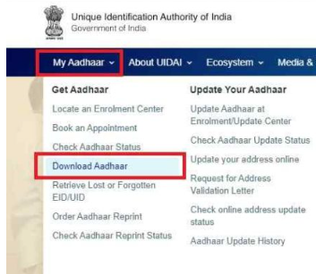 e aadhaar card download