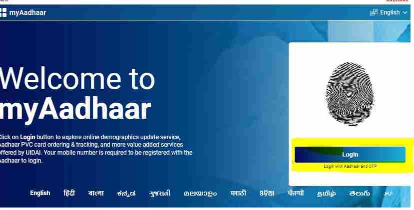 Check UP Vidhwa Pension Status Online 